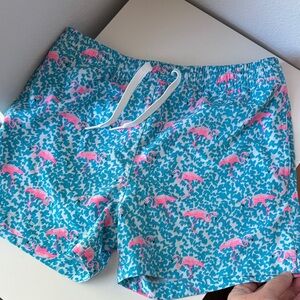 Chubbies Pink and Blue Youth Swim Shorts